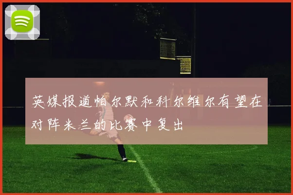 英媒报道帕尔默和科尔维尔有望在对阵米兰的比赛中复出